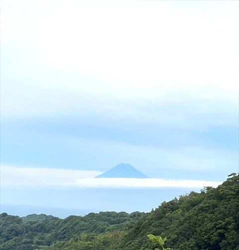 三島スカイウォーク