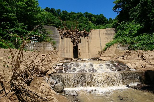 砂防えん堤が大量の流木を捕捉している写真。（正面）