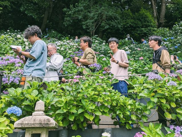 「あじさい路」を進む社員